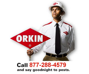 Orkin Phone Number
